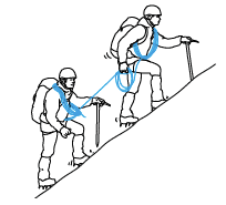Gemsa expertise technique