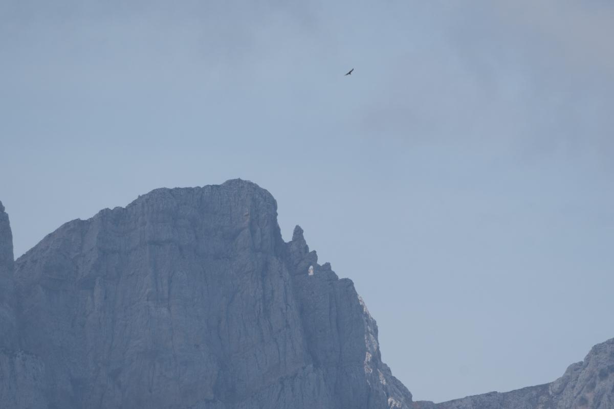 en plus on découvre la belle arche dans la falaise