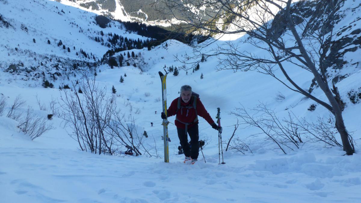 Petit passage alpin