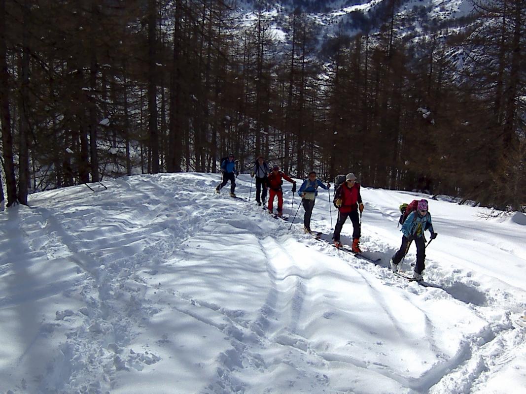 On sort de la forêt