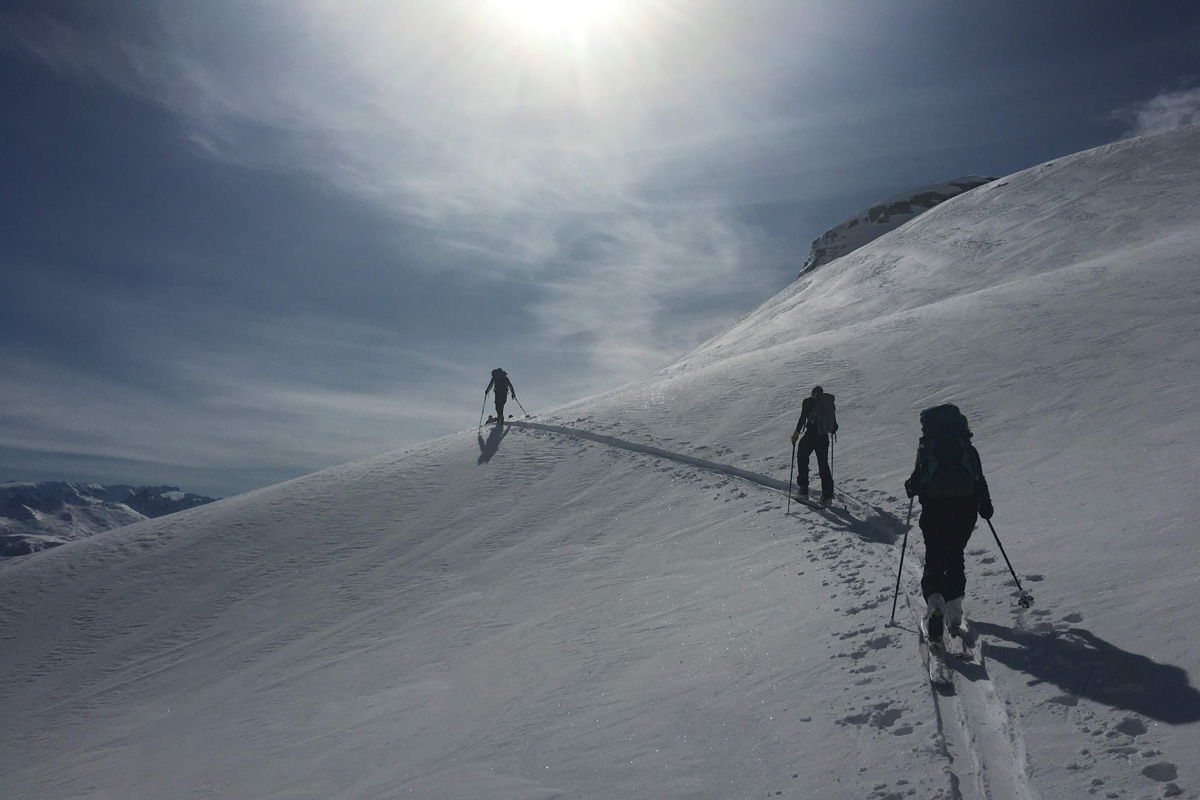 Dans la montée