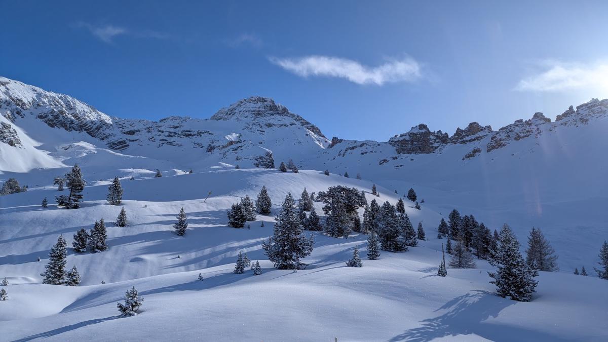 Vue sur le col à la sortie de la forêt