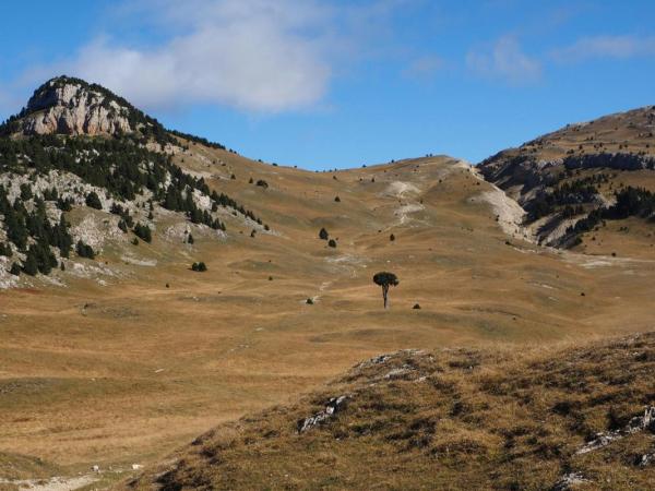 Plaine de la Queyrie