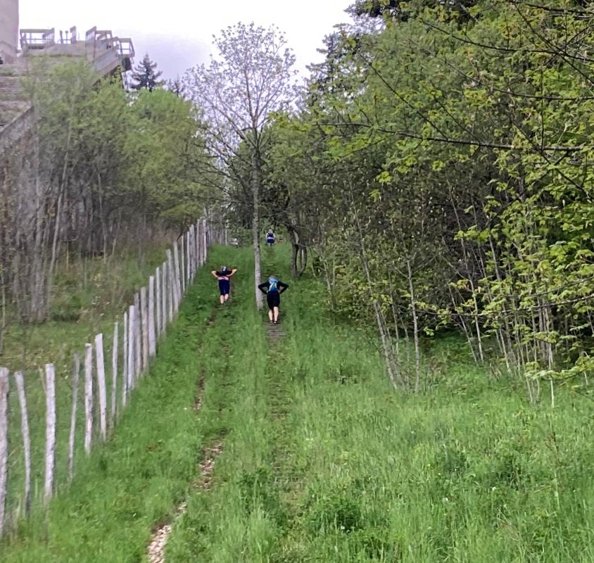 Les escaliers du tremplin