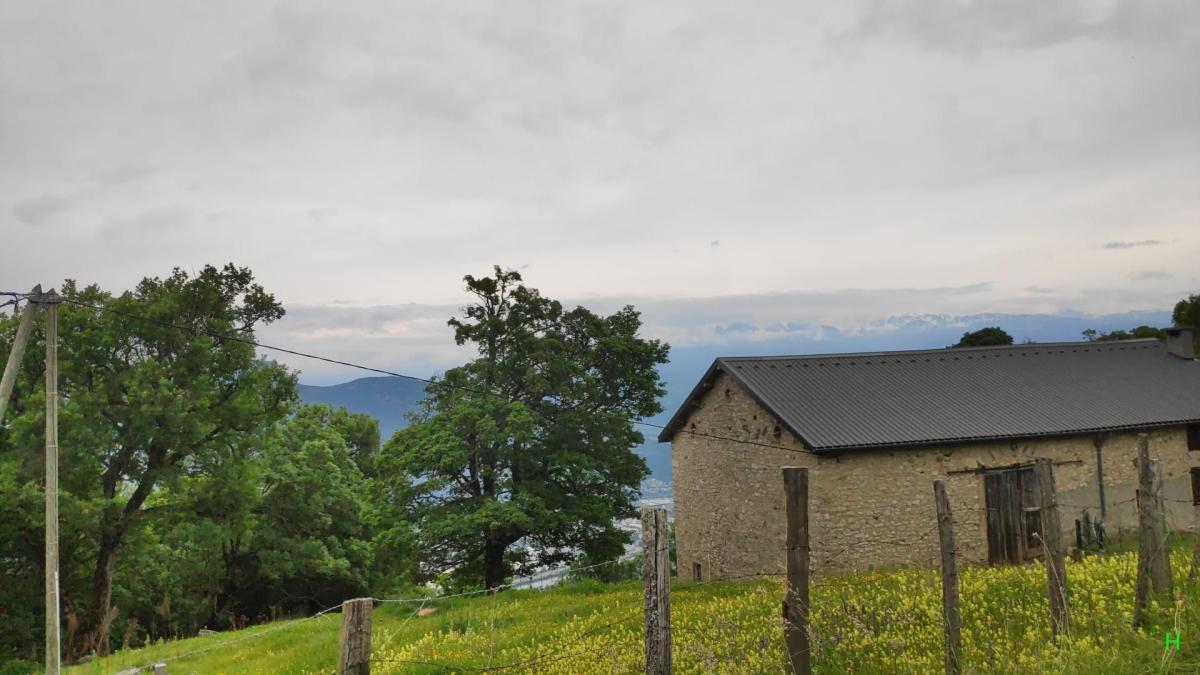 La ferme