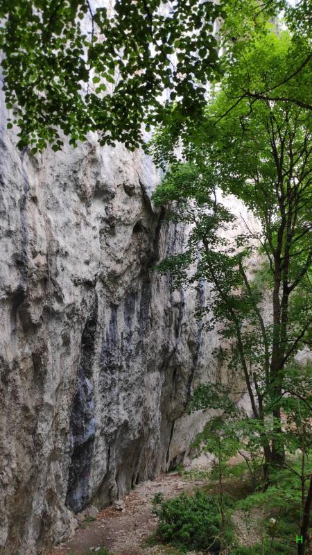 passage sous les falaises, on cherche les prise !