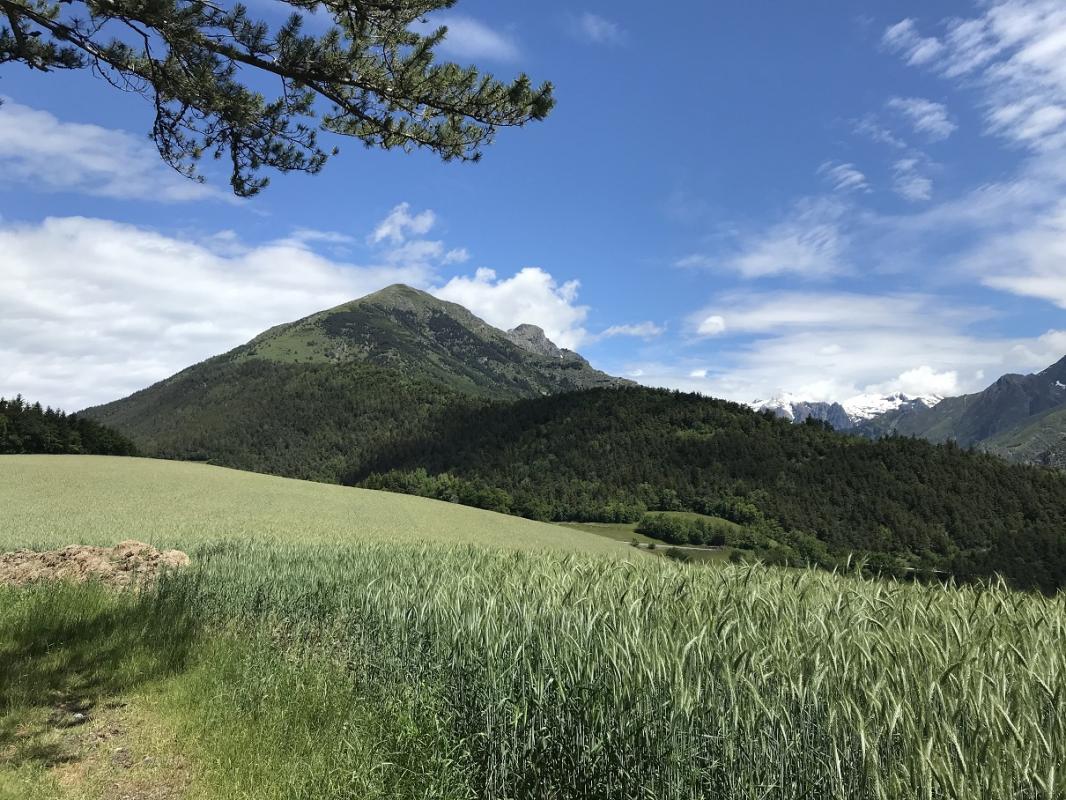 Le piquet Nantes et le Tabor depuis le col de Malissol